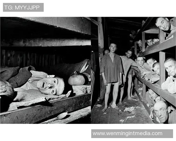 慕尼黑奥运会的历史回顾与影响探讨：体育政治与人性的交织