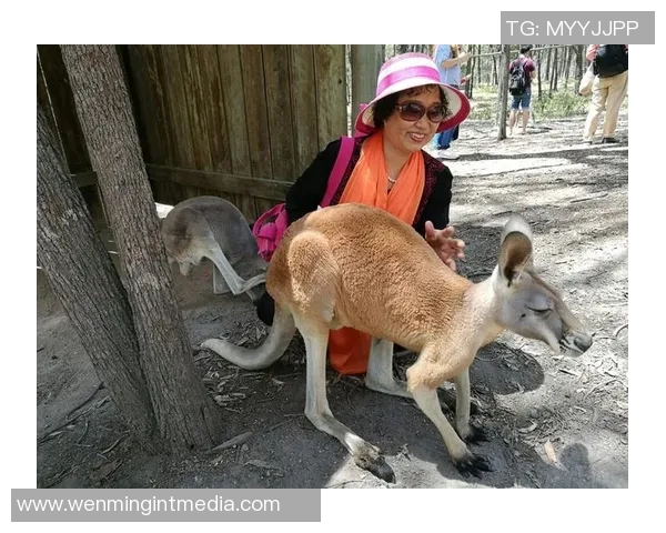 篮球澳大利亚与新西兰激战正酣谁能在这场对决中笑到最后