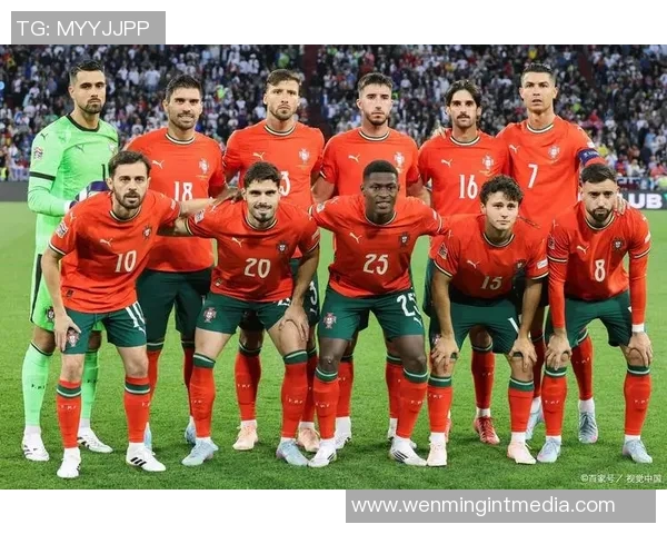 2010年世界杯经典对决荷兰与葡萄牙的激烈较量回顾