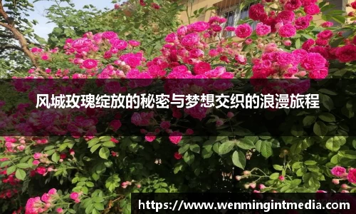 优游国际入口